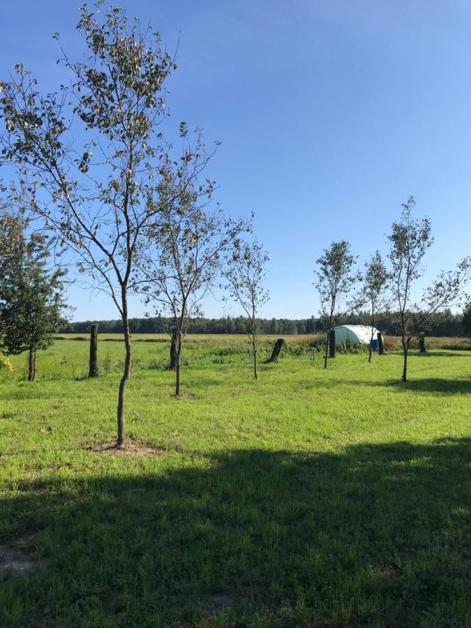 Siedlisko Marianna, Apartamenty Janowiec, Kazimierz Dolny Lawecko Exteriör bild