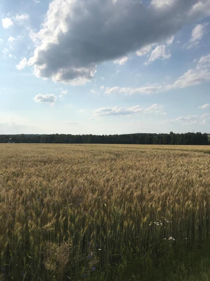 Siedlisko Marianna, Apartamenty Janowiec, Kazimierz Dolny Lawecko Exteriör bild